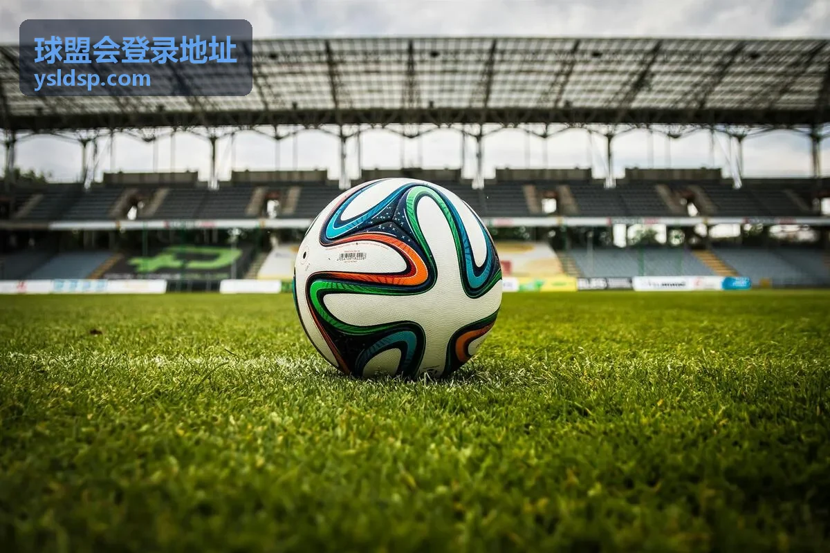 球盟会登录地址页面提示信息排查流程